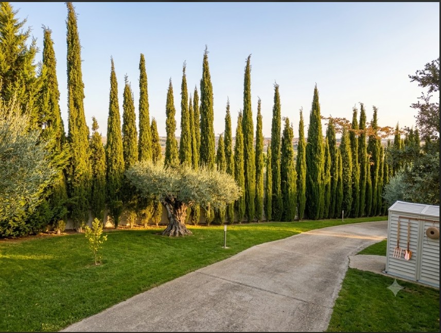 Exclusiva residencia independiente con dos viviendas, piscina y vistas privilegiadas a Toledo