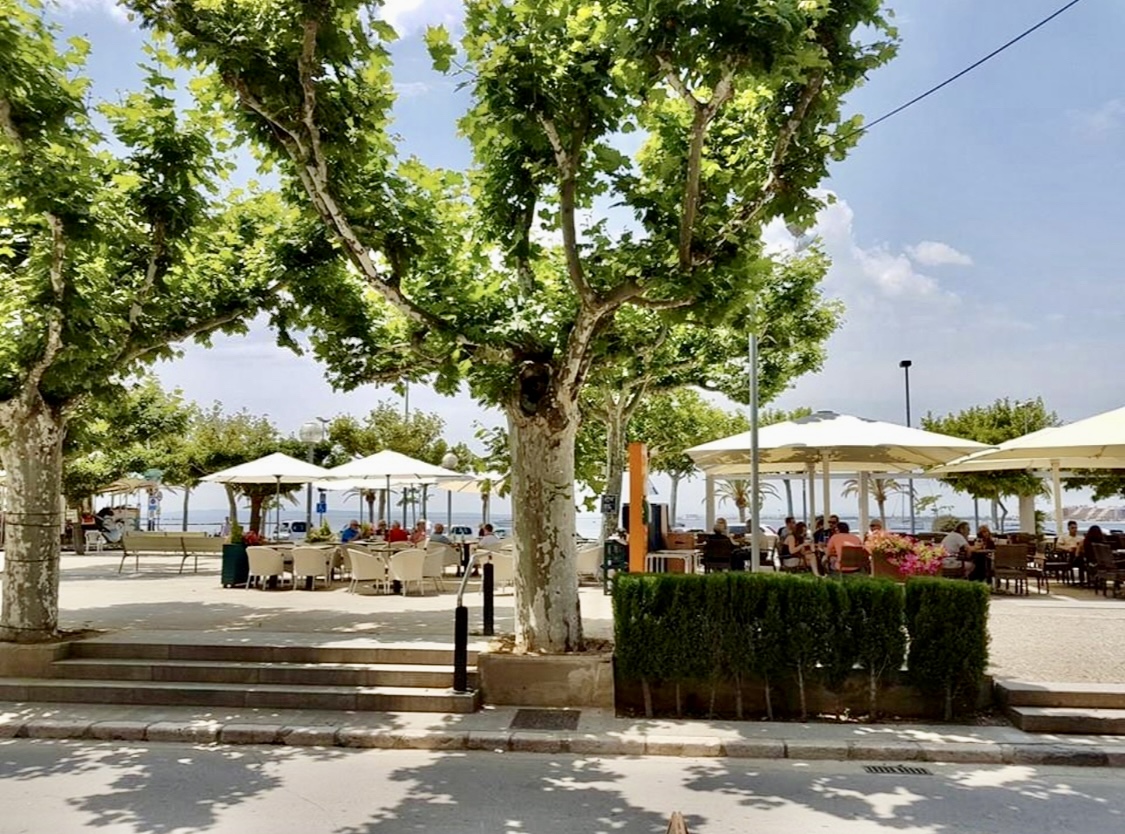 img-0963_0a01608a-f009-47b8-aa04-16260e7a5508