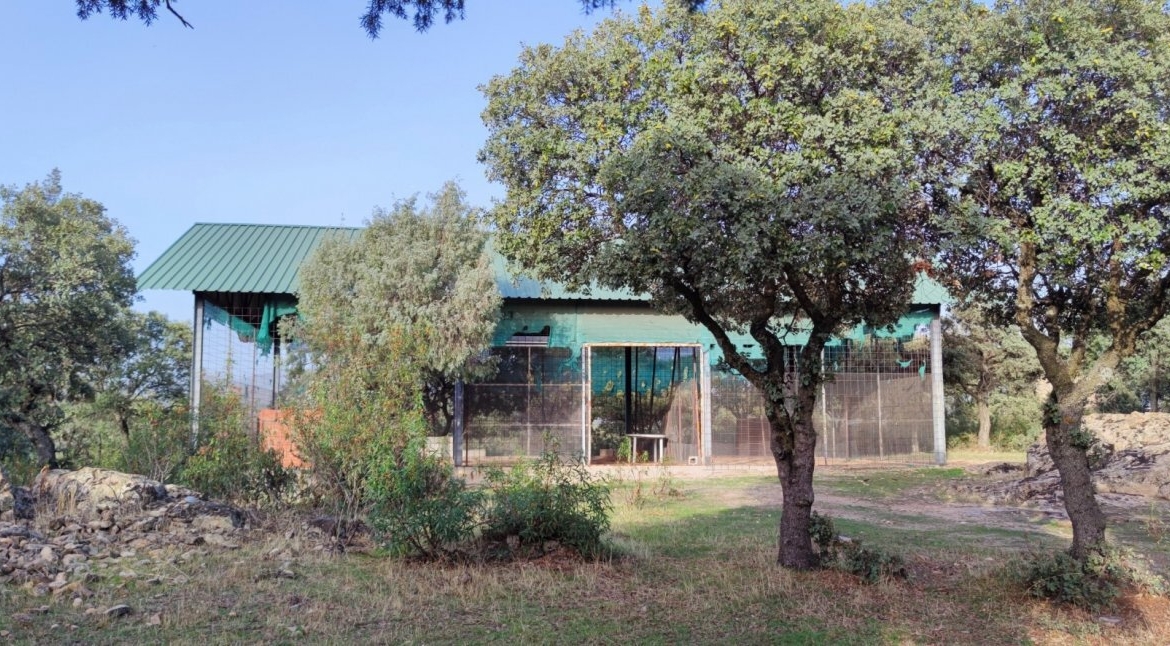 PRECIOSA FINCA RÚSTICA CERCANA AL CASCO DE GALAPAGAR