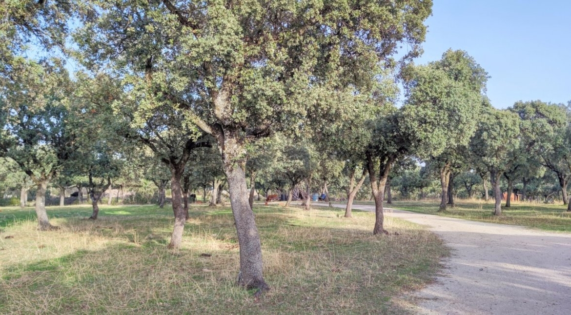 PRECIOSA FINCA RÚSTICA CERCANA AL CASCO DE GALAPAGAR