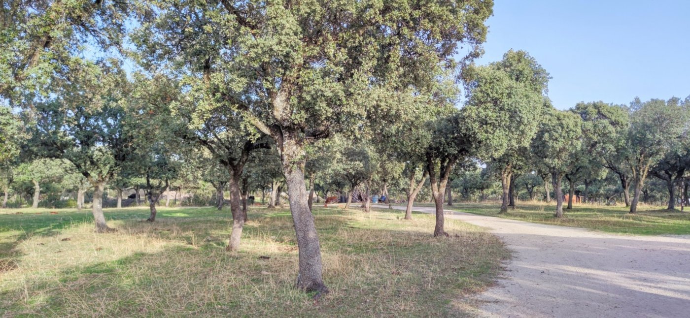 40-7 PRECIOSA FINCA RÚSTICA CERCANA AL CASCO DE GALAPAGAR