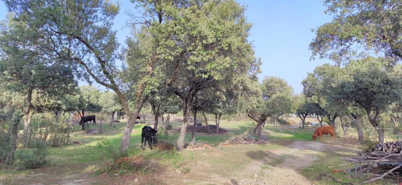40-8 PRECIOSA FINCA RÚSTICA CERCANA AL CASCO DE GALAPAGAR