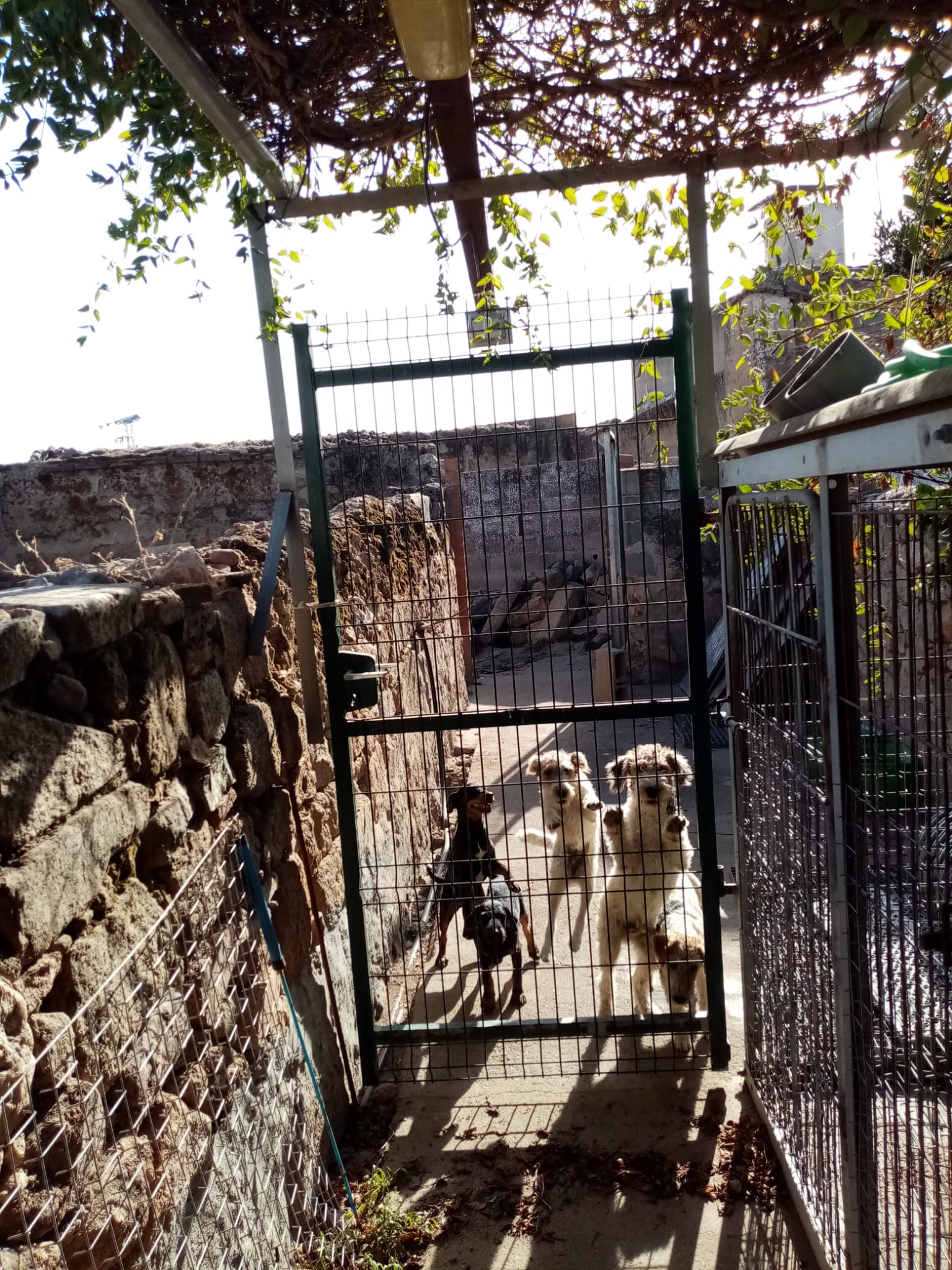 manuel-prieto-12_bbde3e87-5d9a-4523-85fc-cd5ac1a891a8