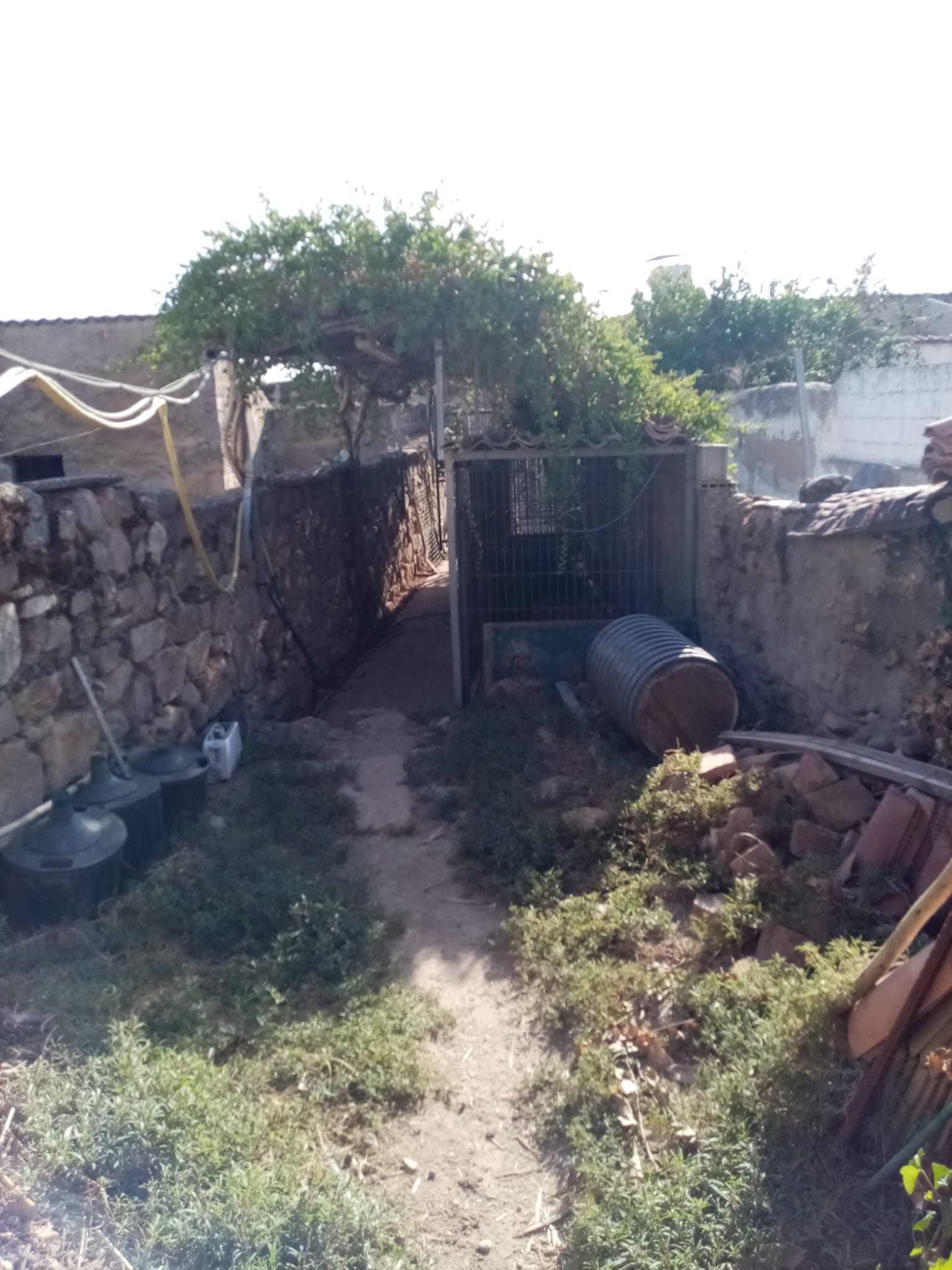 manuel-prieto-8_d5ce3c82-a67d-4ef9-b851-676b6513e53d