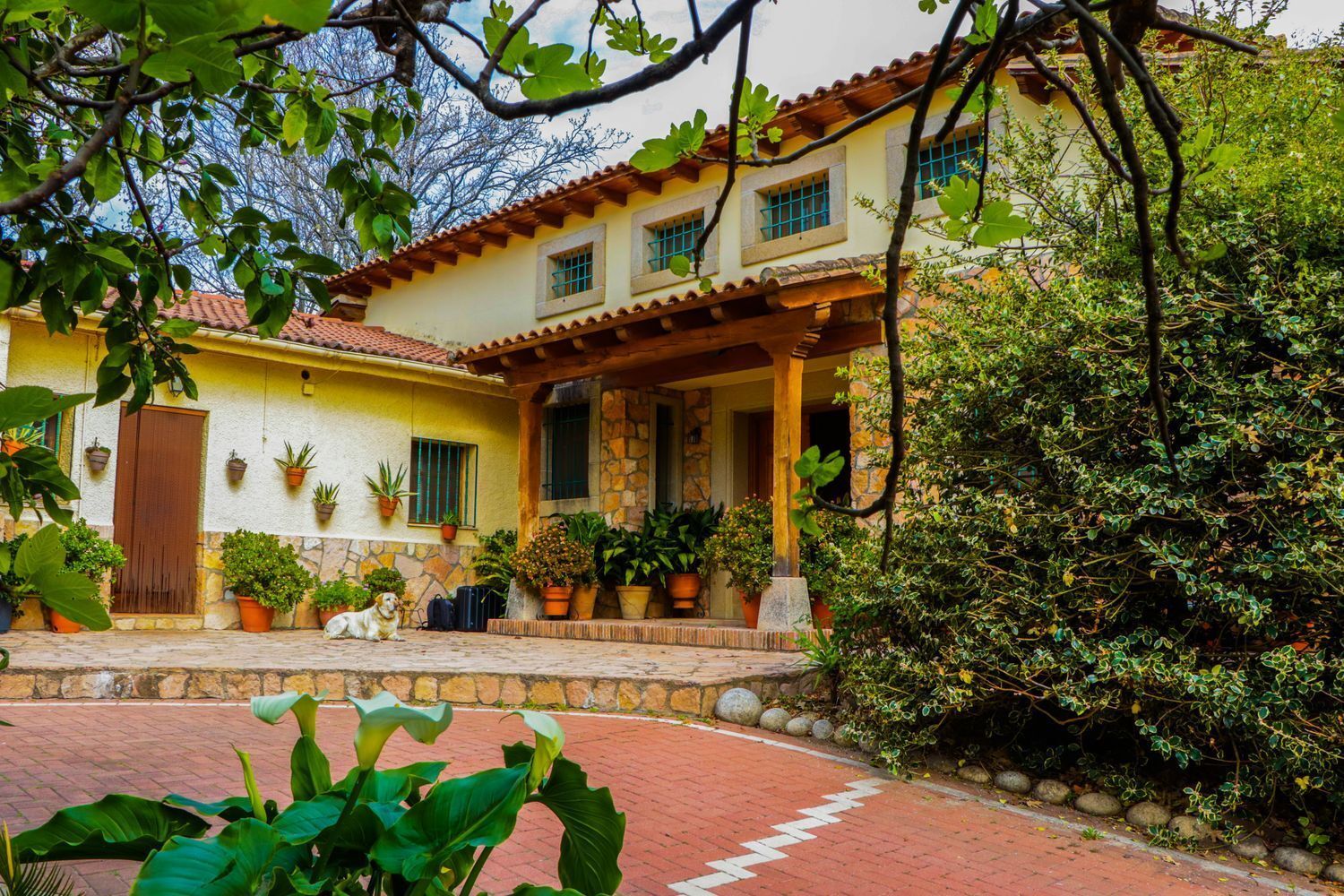Rustico en alquiler, Jarandilla De La Vera
