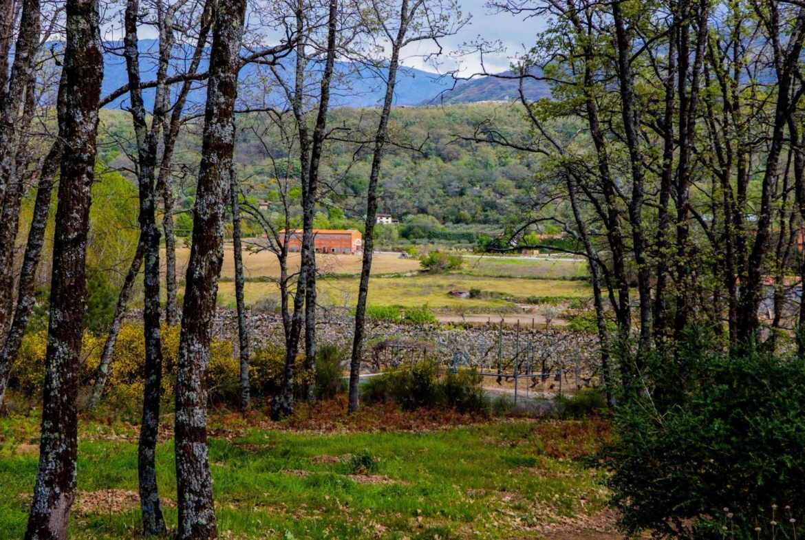 Rustico en alquiler, Jarandilla De La Vera