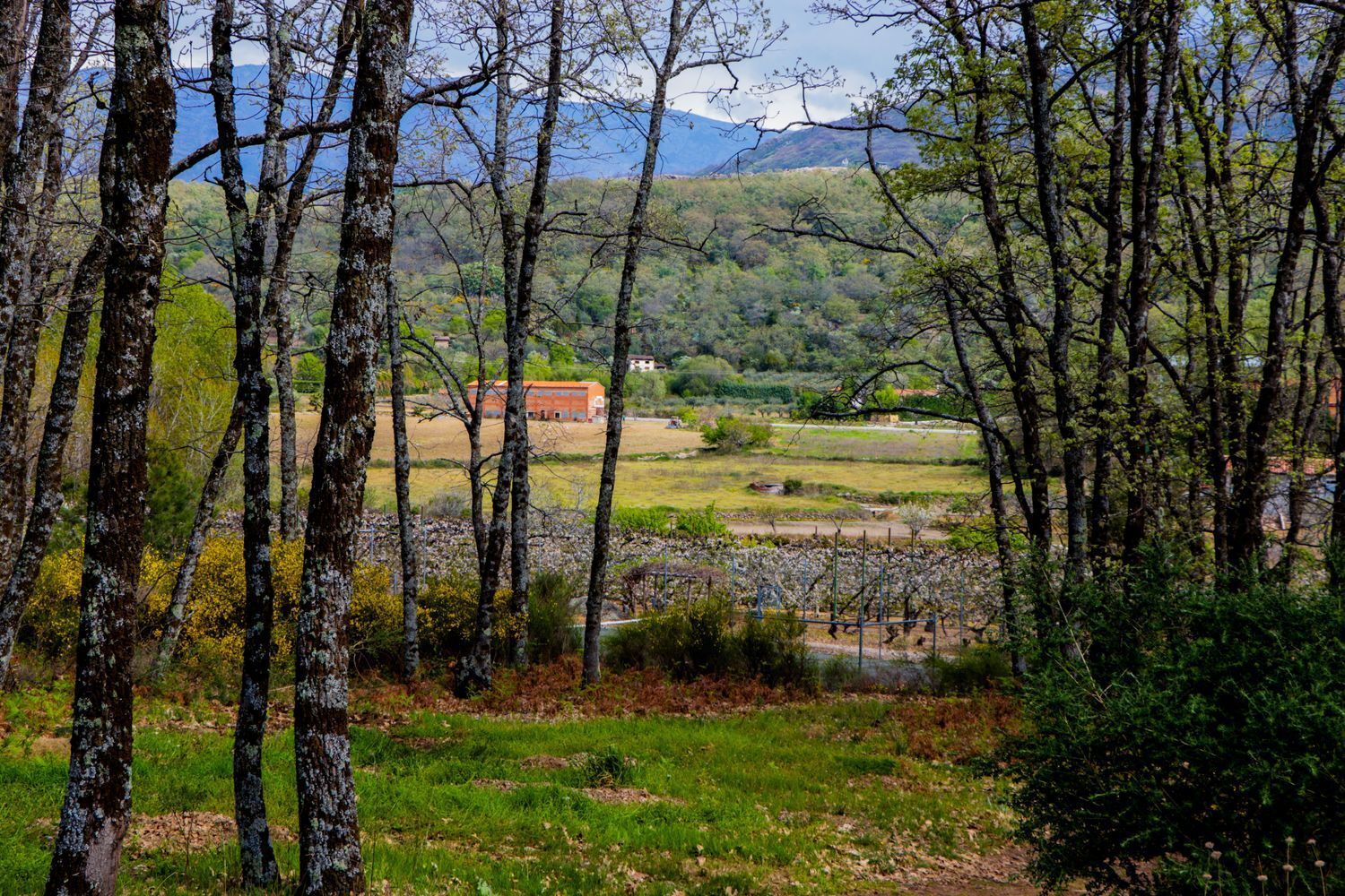 Rustico en alquiler, Jarandilla De La Vera