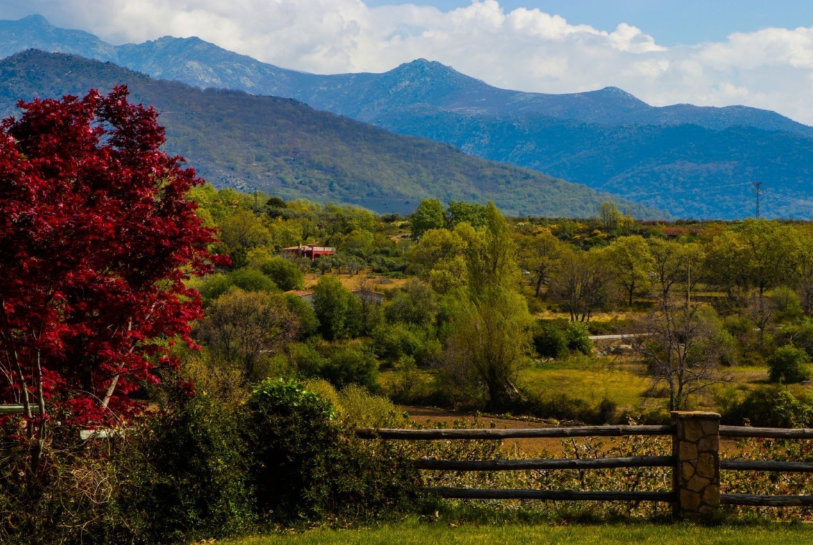 Rustico en alquiler, Jarandilla De La Vera