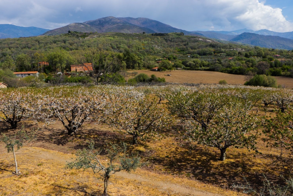 Rustico en alquiler, Jarandilla De La Vera