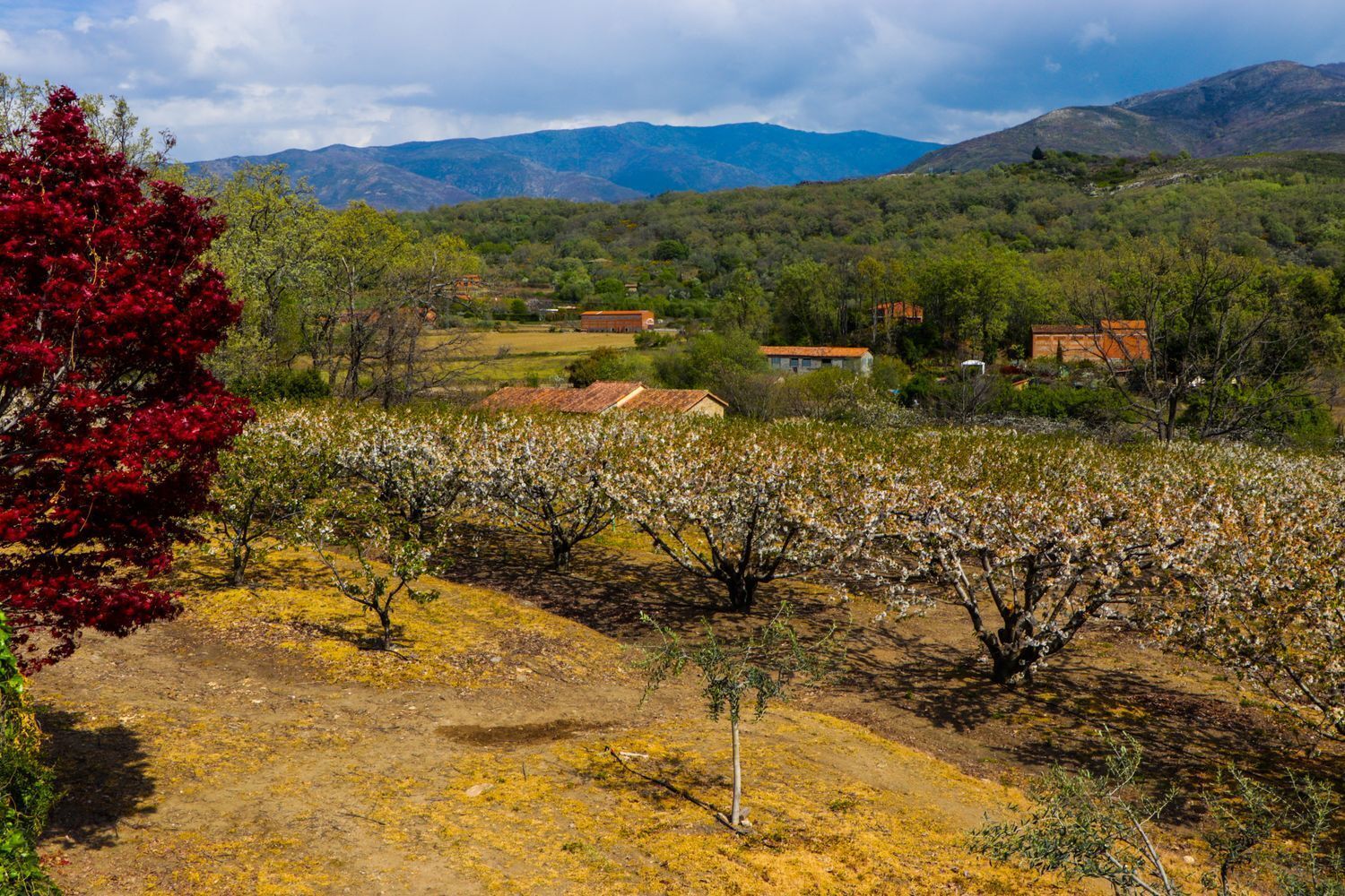 Rustico en alquiler, Jarandilla De La Vera