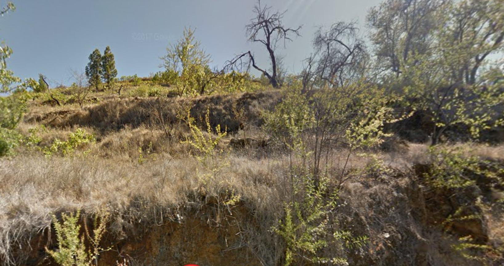 img-3015_43415e1f-e876-4c3c-a783-9b42076632f3