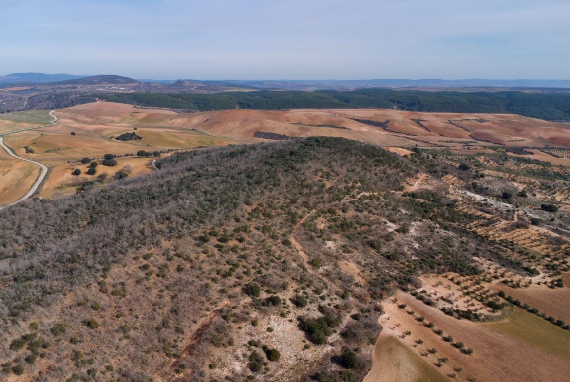 ¡DISFRUTA DE UN MONTE PARA TI!