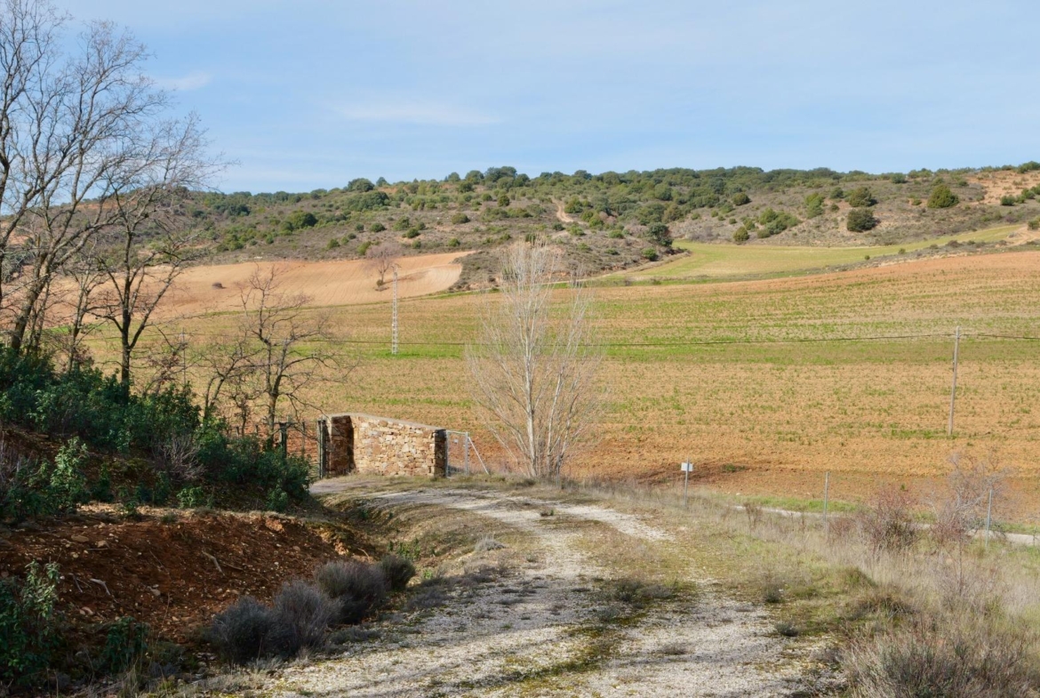 ¡DISFRUTA DE UN MONTE PARA TI!
