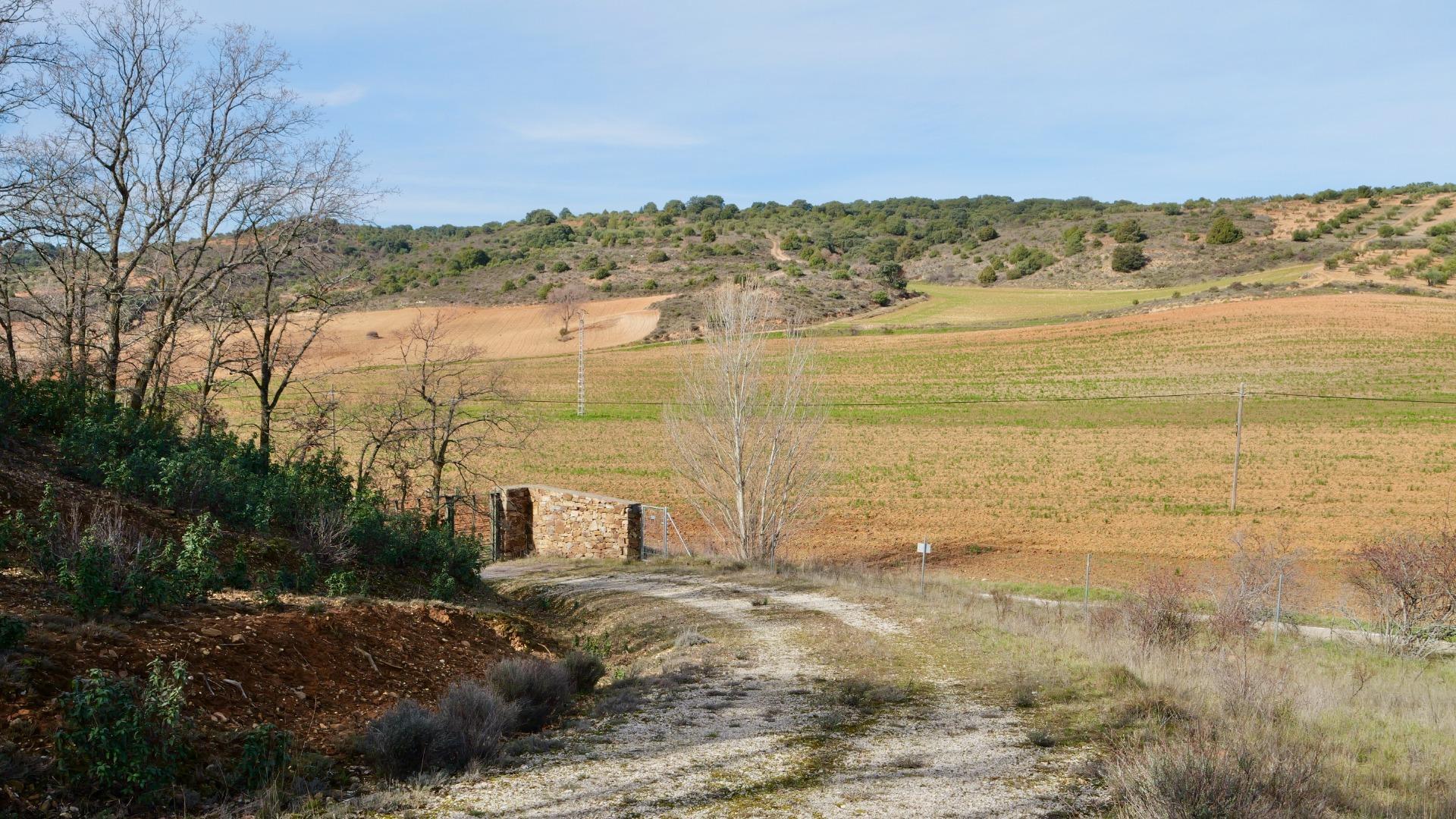 ¡DISFRUTA DE UN MONTE PARA TI!