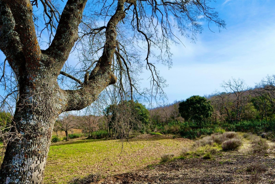 ¡DISFRUTA DE UN MONTE PARA TI!