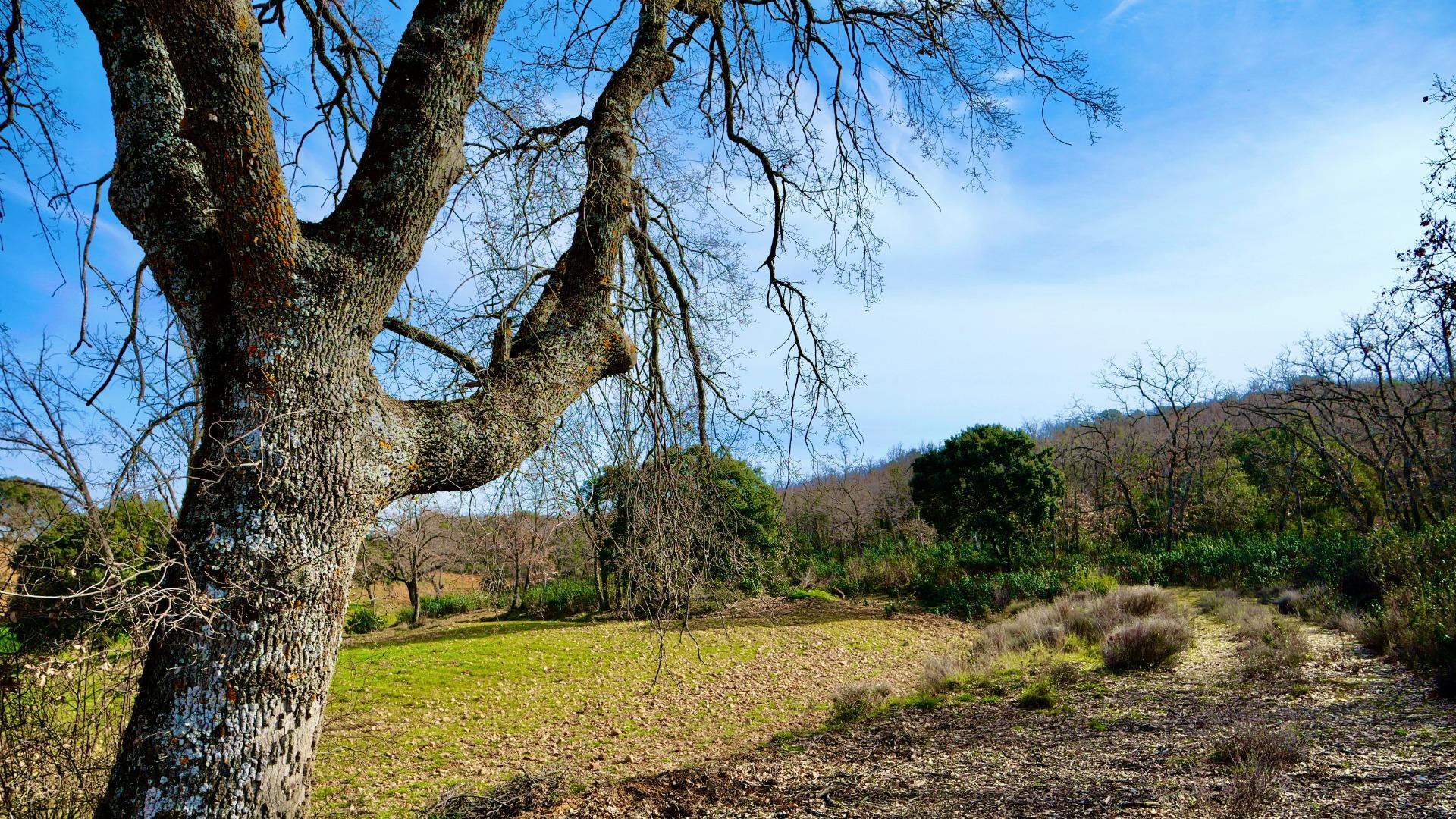 ¡DISFRUTA DE UN MONTE PARA TI!