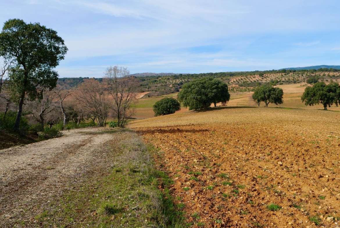 ¡DISFRUTA DE UN MONTE PARA TI!