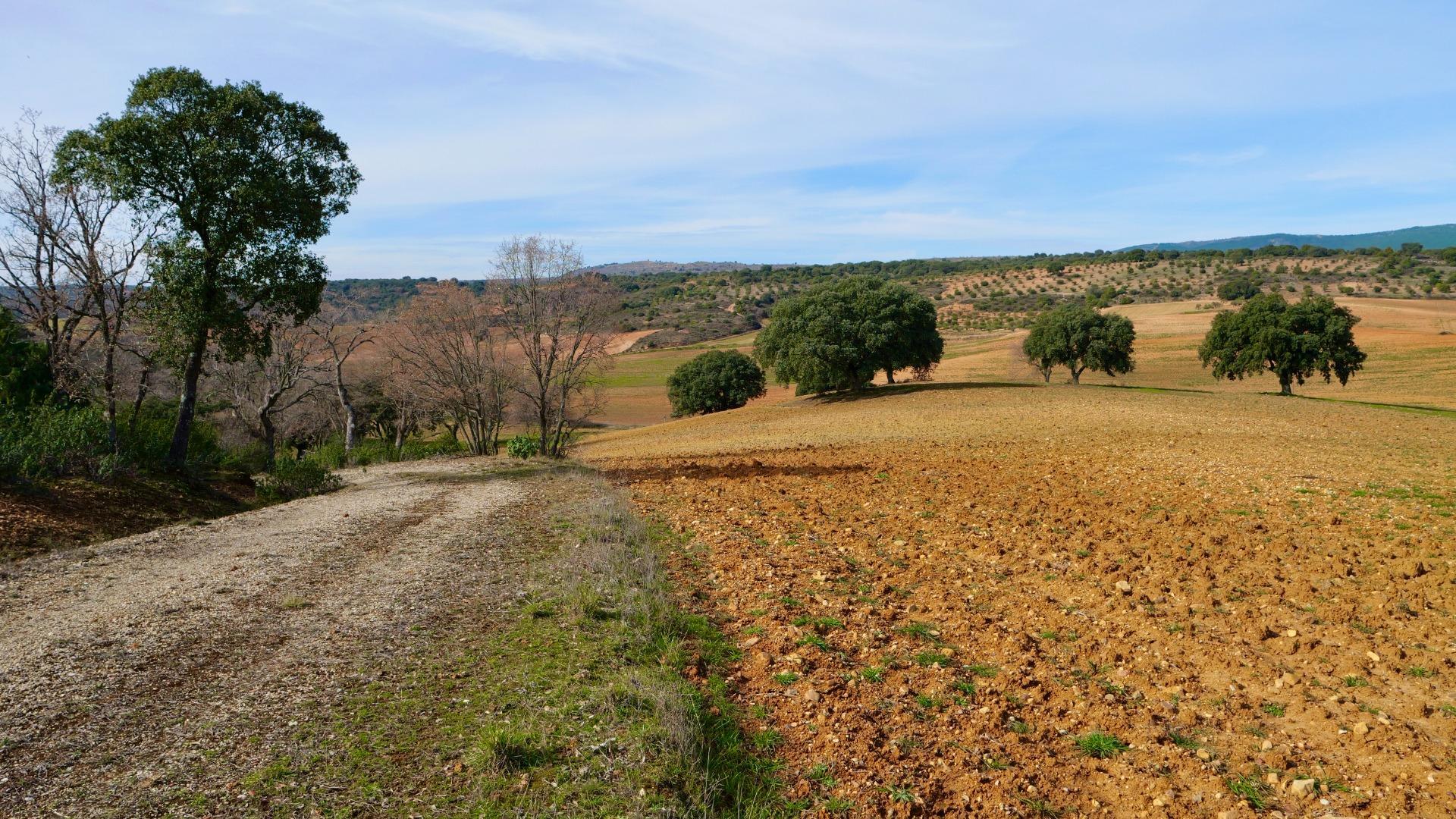 ¡DISFRUTA DE UN MONTE PARA TI!
