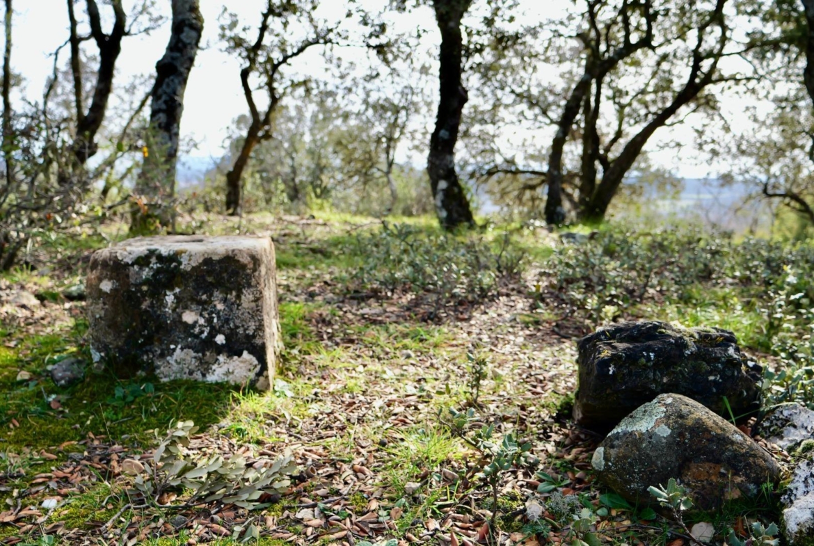 ¡DISFRUTA DE UN MONTE PARA TI!