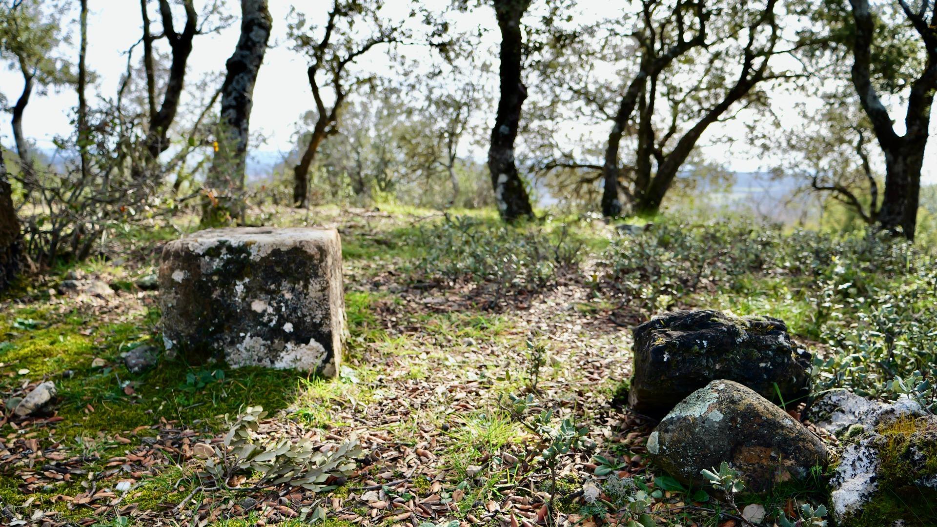 ¡DISFRUTA DE UN MONTE PARA TI!