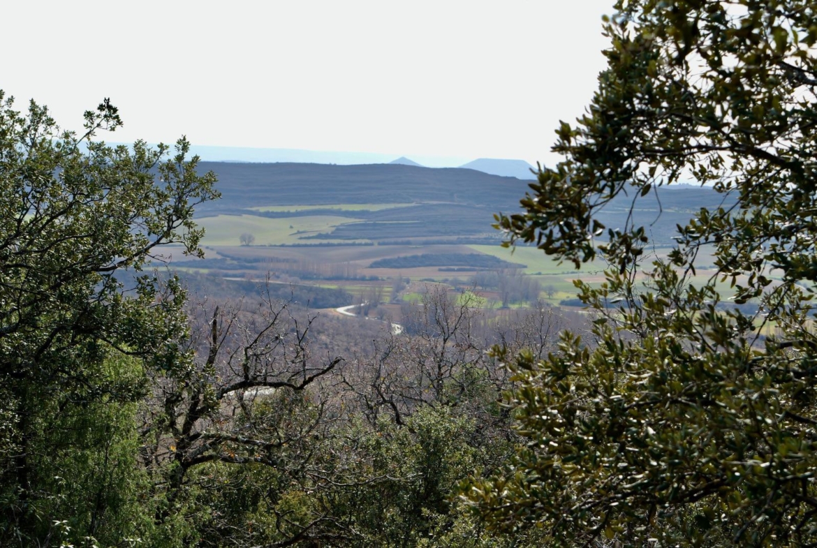 ¡DISFRUTA DE UN MONTE PARA TI!