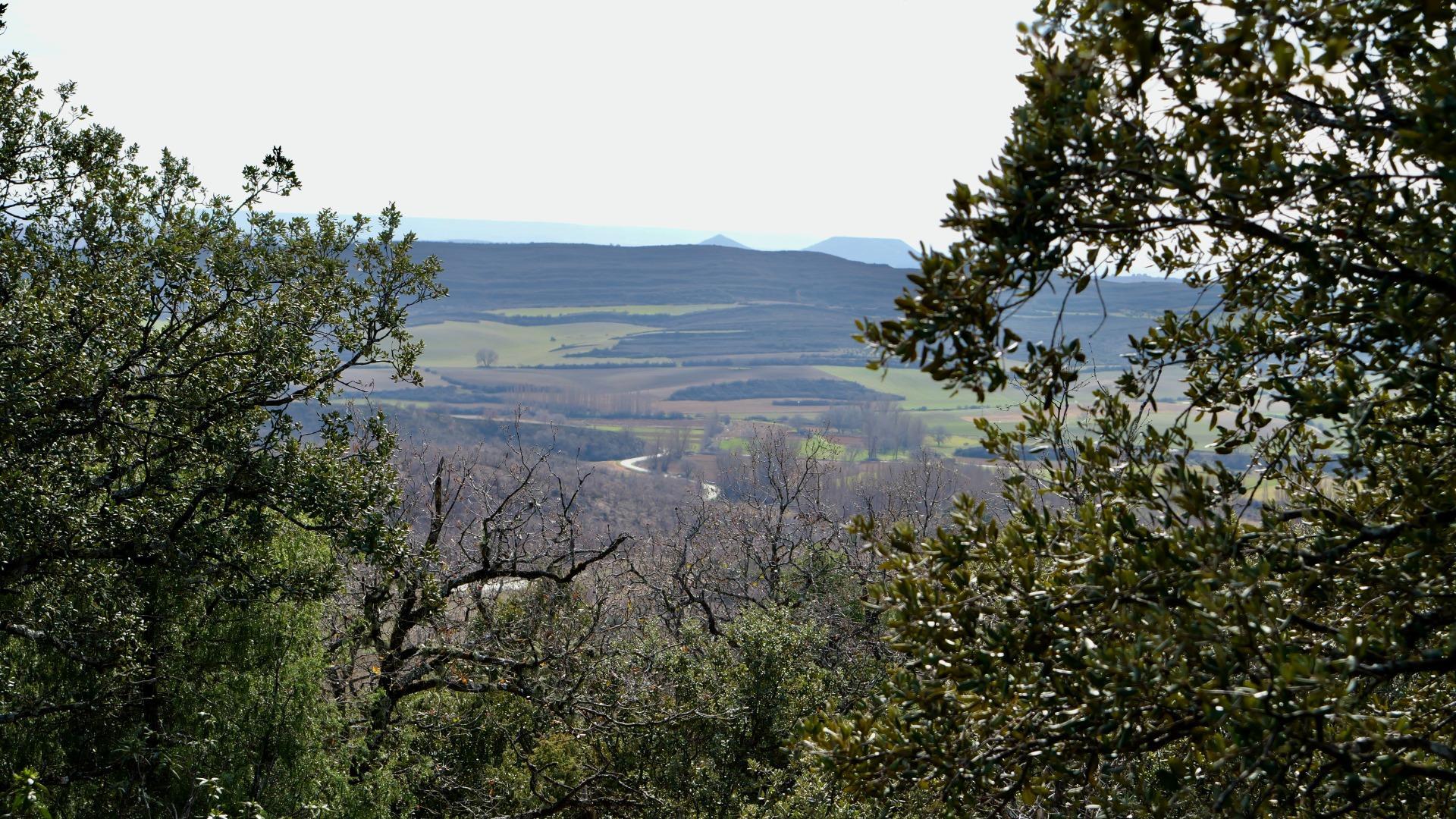 ¡DISFRUTA DE UN MONTE PARA TI!