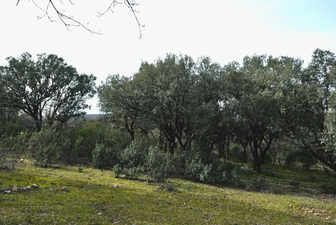 ¡DISFRUTA DE UN MONTE PARA TI!