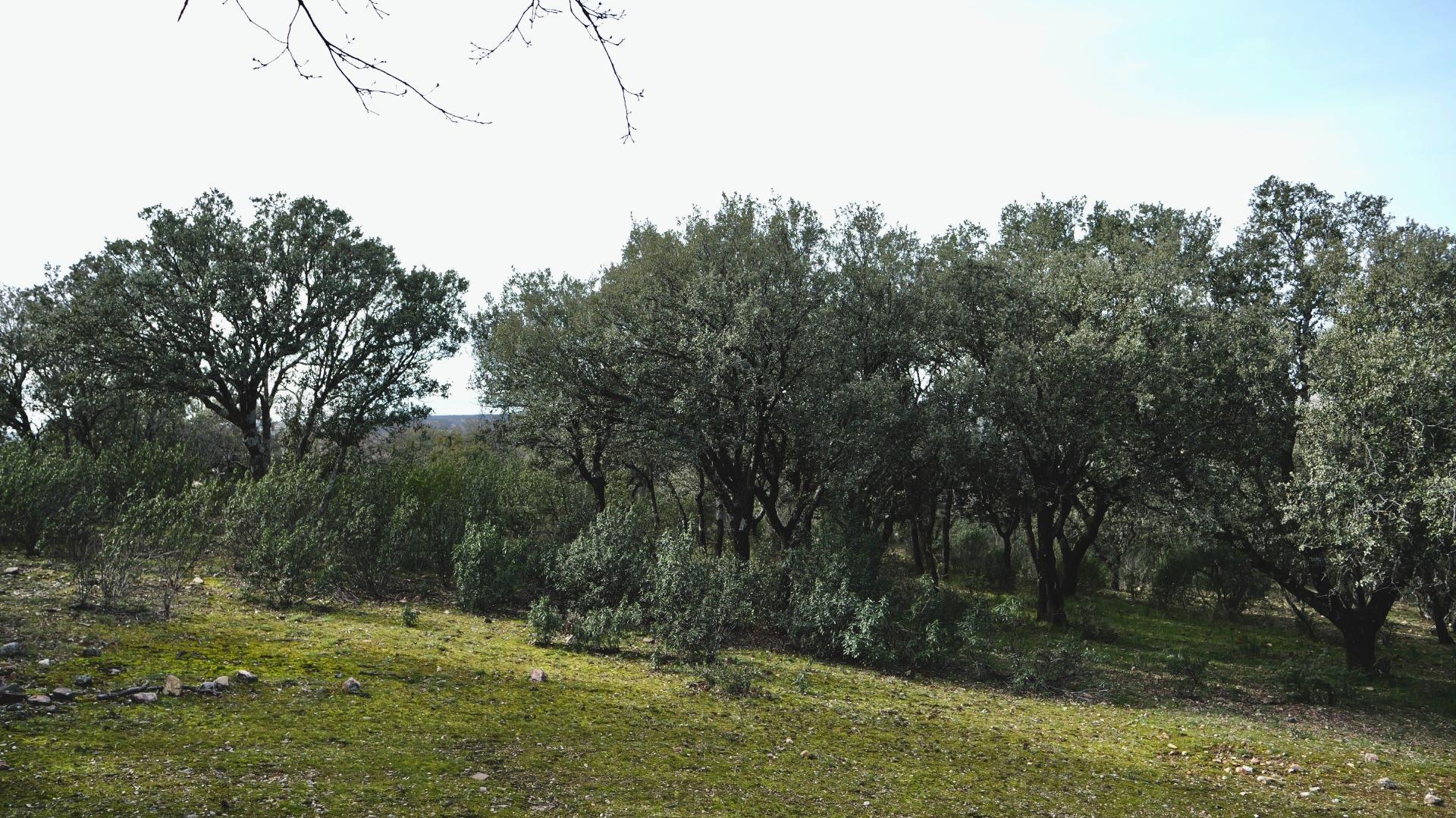 ¡DISFRUTA DE UN MONTE PARA TI!