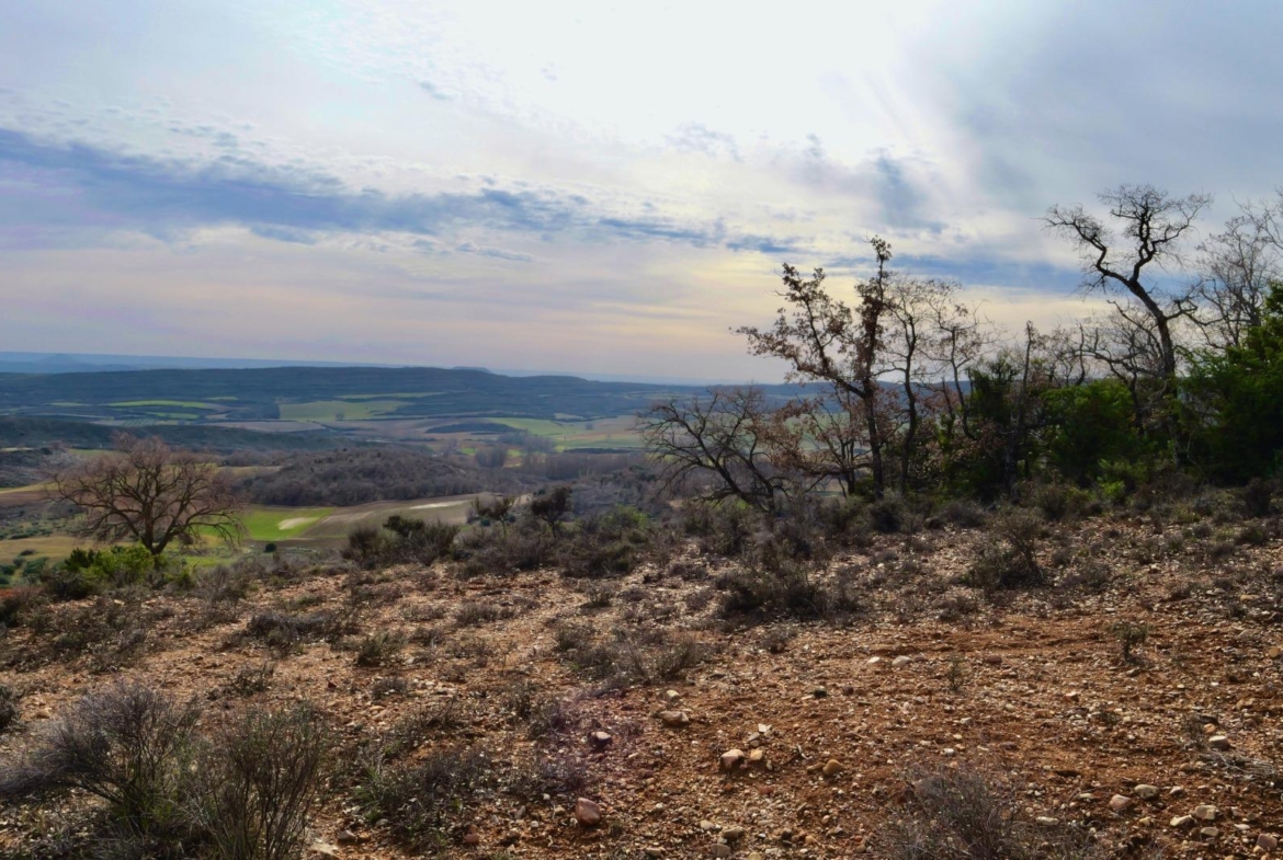¡DISFRUTA DE UN MONTE PARA TI!