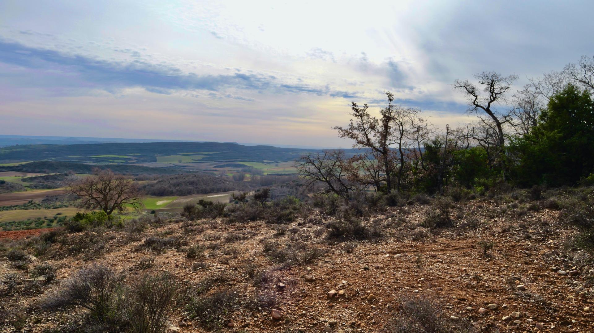 ¡DISFRUTA DE UN MONTE PARA TI!