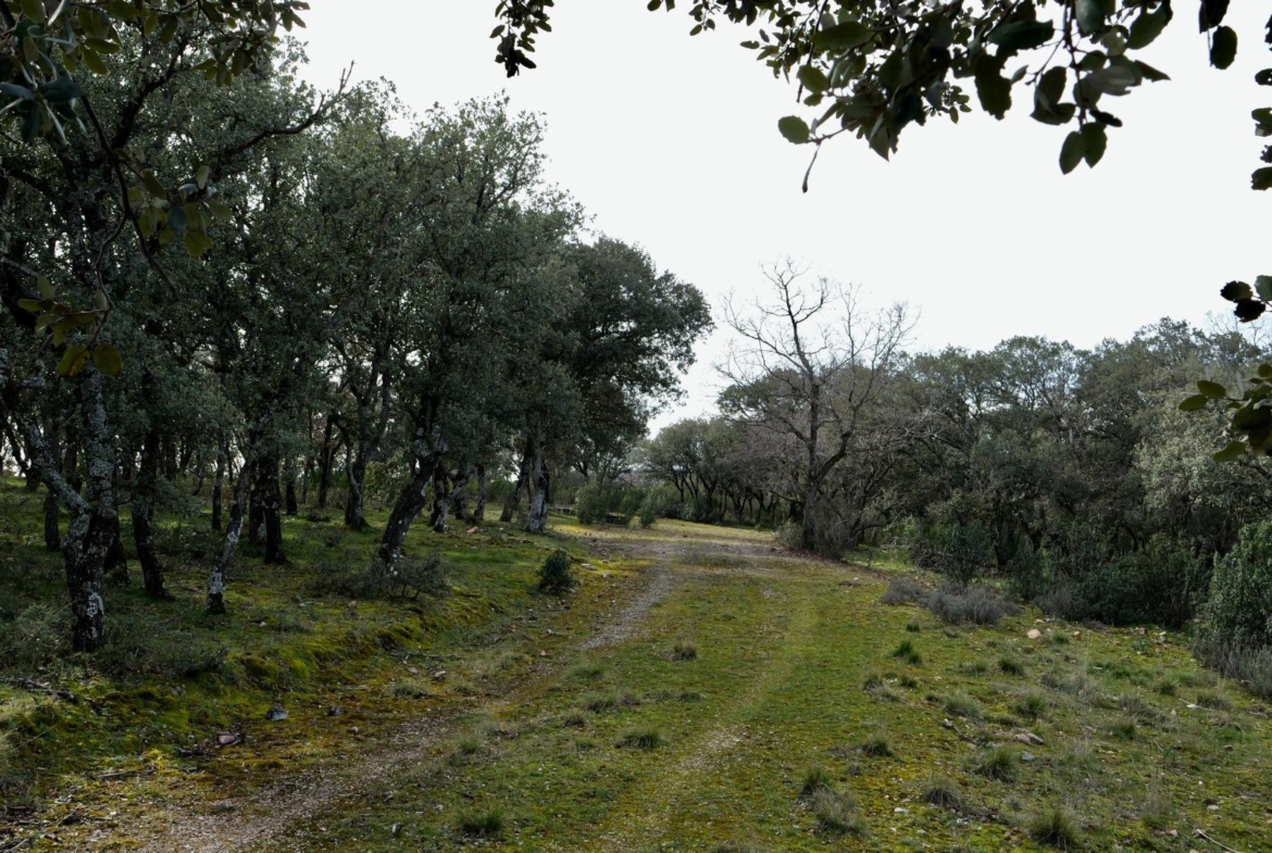 ¡DISFRUTA DE UN MONTE PARA TI!