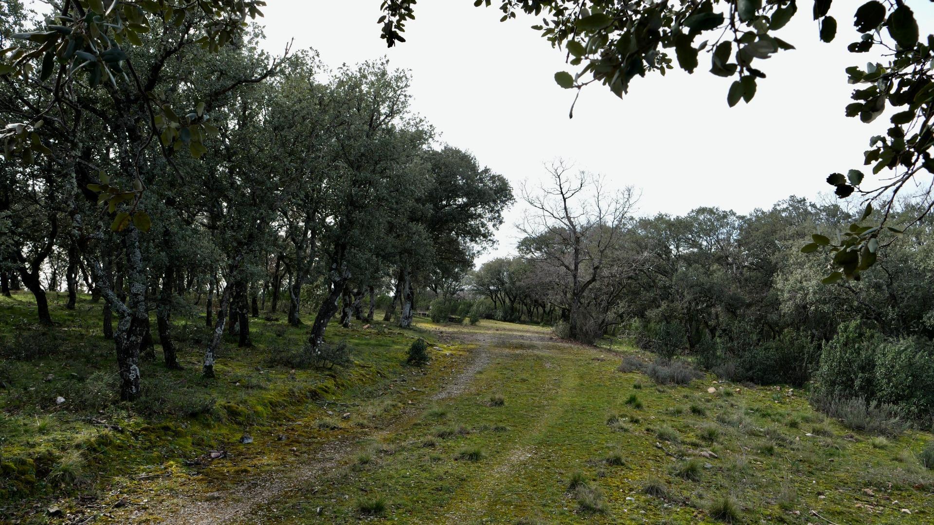 ¡DISFRUTA DE UN MONTE PARA TI!