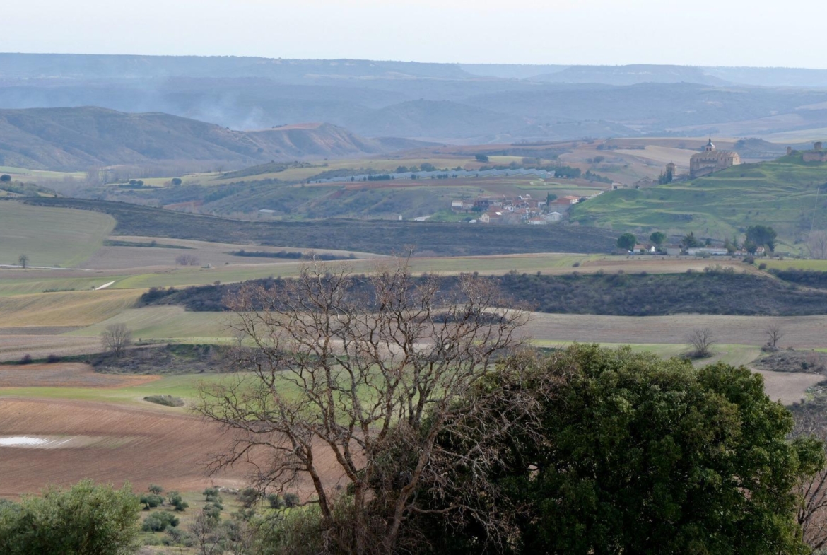 ¡DISFRUTA DE UN MONTE PARA TI!