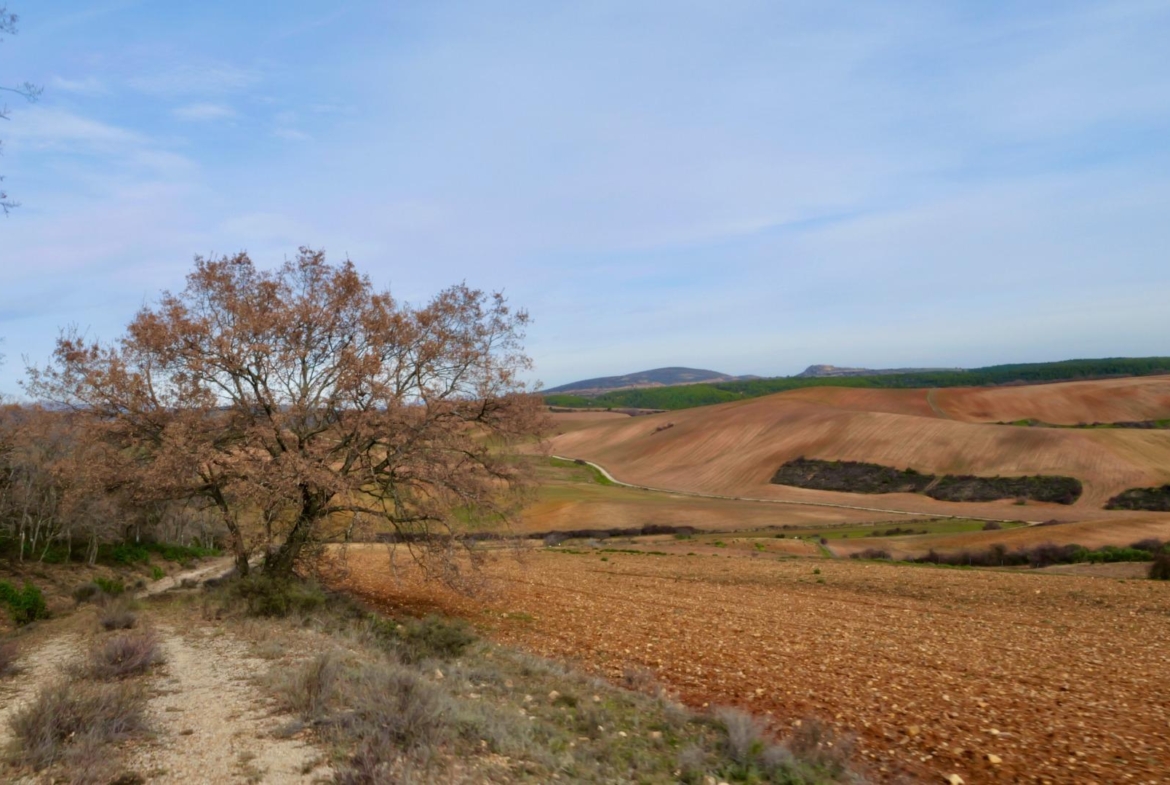 ¡DISFRUTA DE UN MONTE PARA TI!