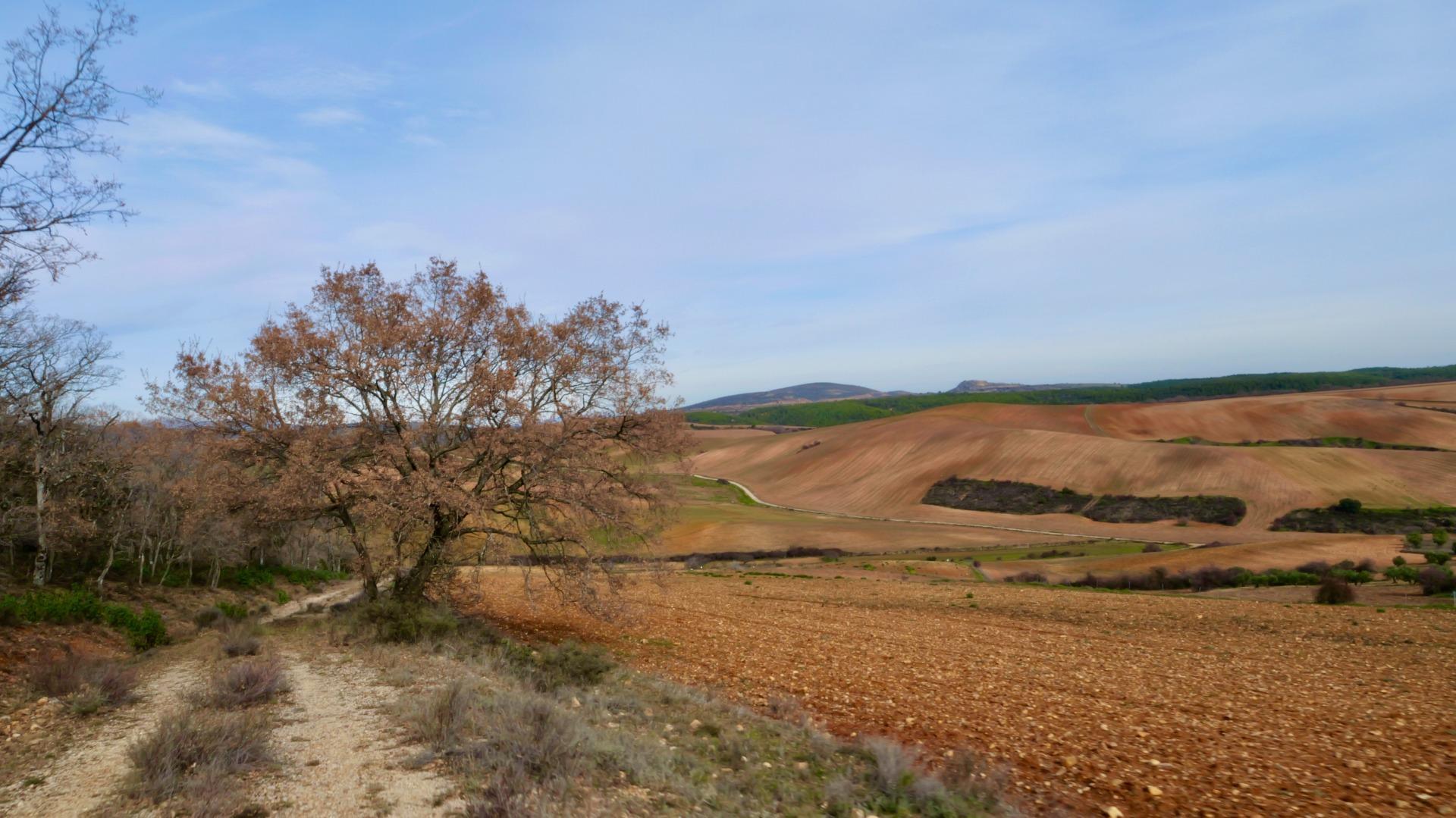 ¡DISFRUTA DE UN MONTE PARA TI!