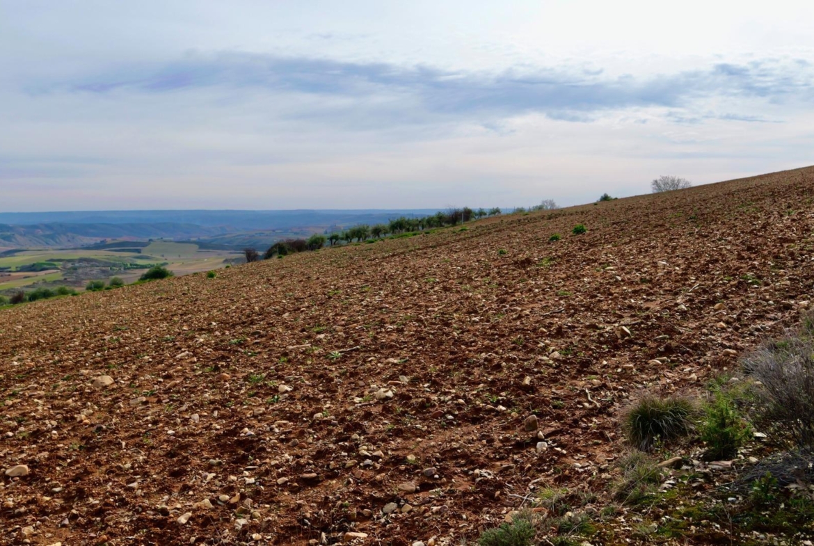 ¡DISFRUTA DE UN MONTE PARA TI!