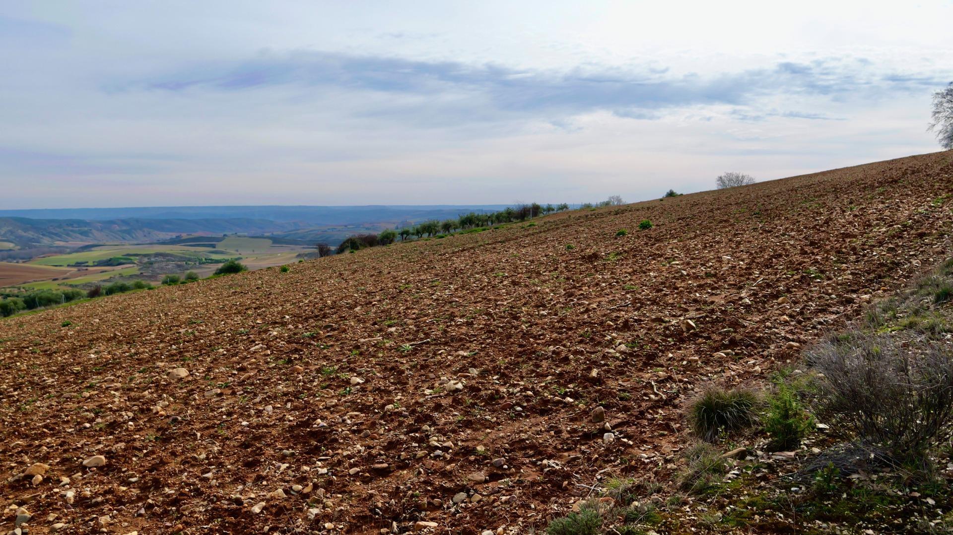 ¡DISFRUTA DE UN MONTE PARA TI!