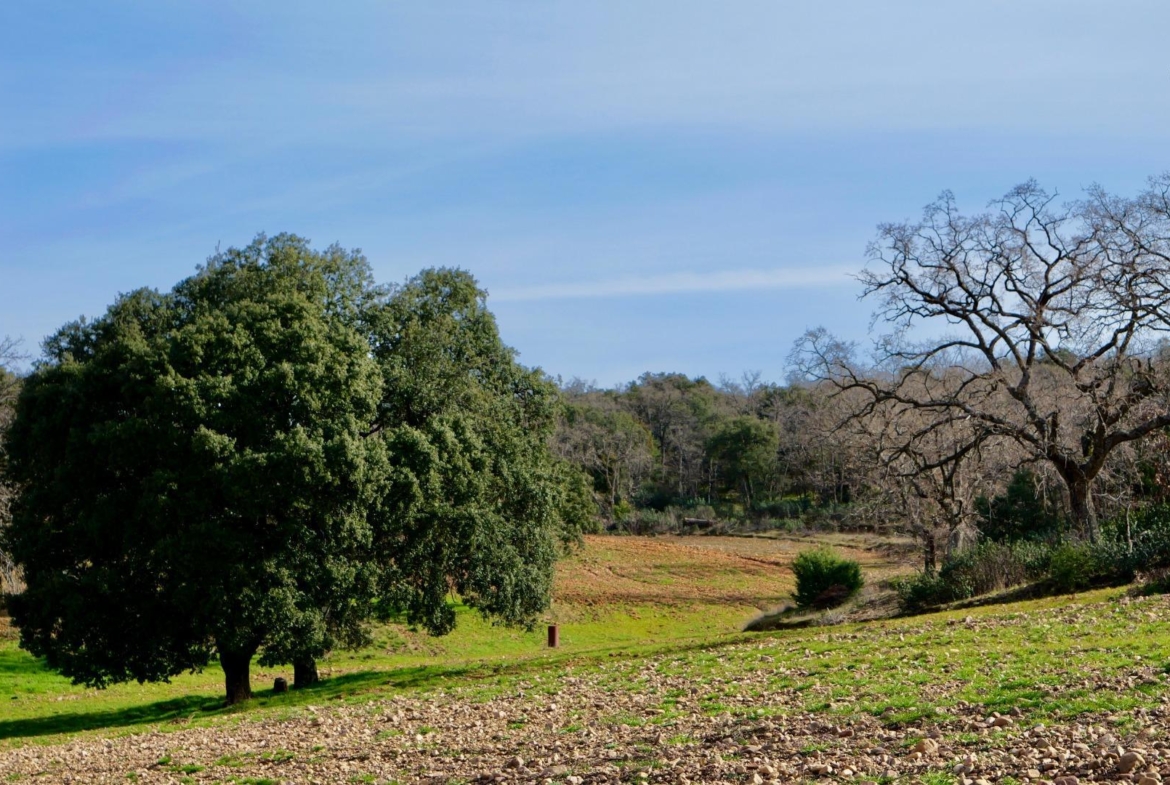 ¡DISFRUTA DE UN MONTE PARA TI!