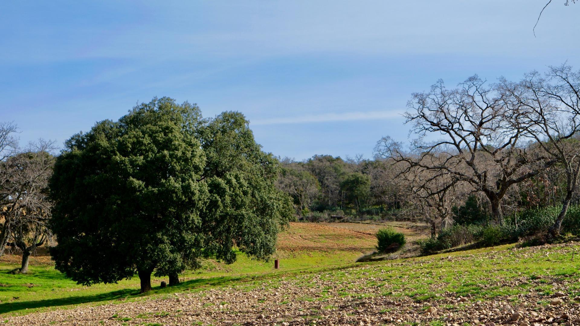 ¡DISFRUTA DE UN MONTE PARA TI!