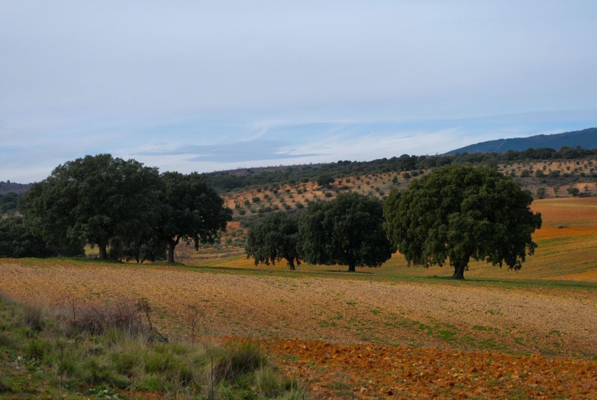 ¡DISFRUTA DE UN MONTE PARA TI!