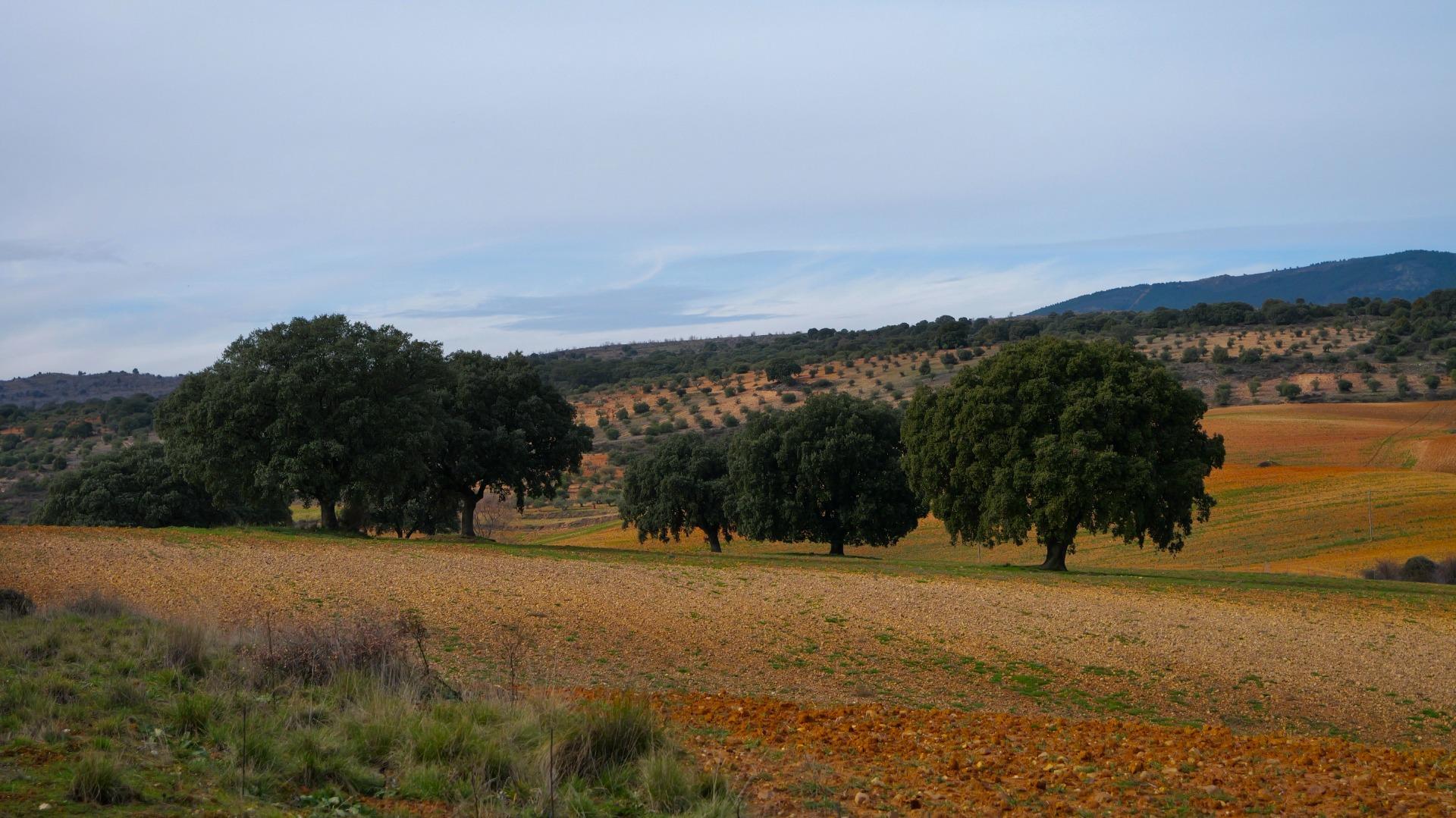 ¡DISFRUTA DE UN MONTE PARA TI!