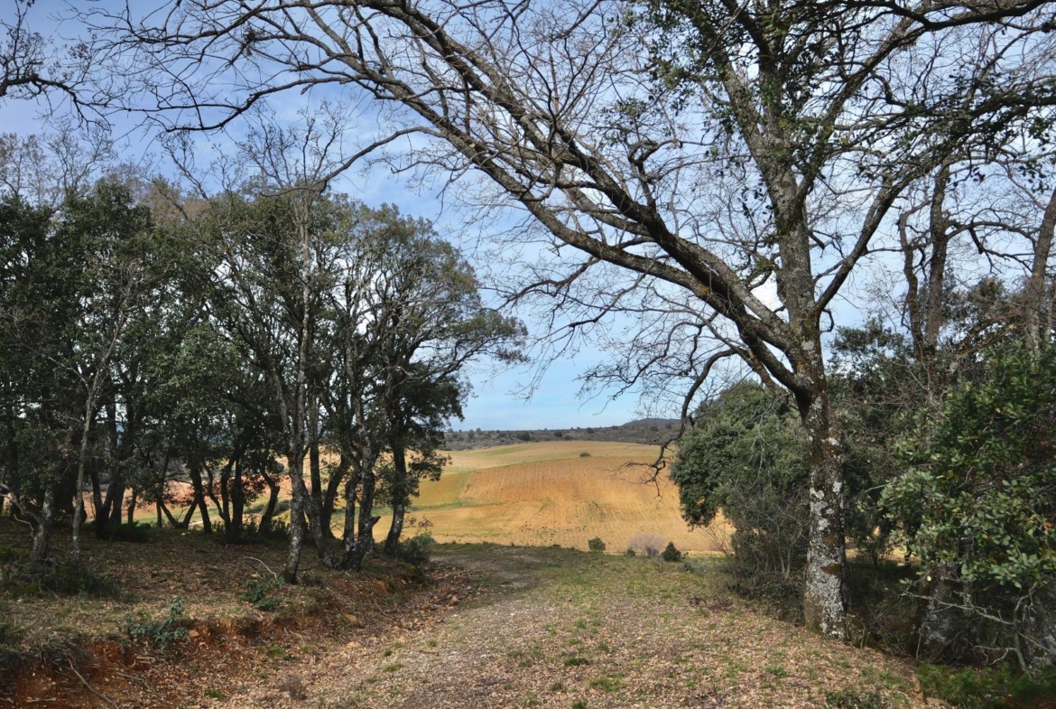 ¡DISFRUTA DE UN MONTE PARA TI!