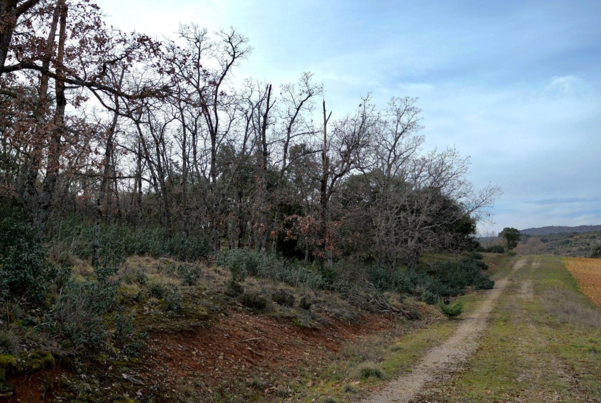 ¡DISFRUTA DE UN MONTE PARA TI!