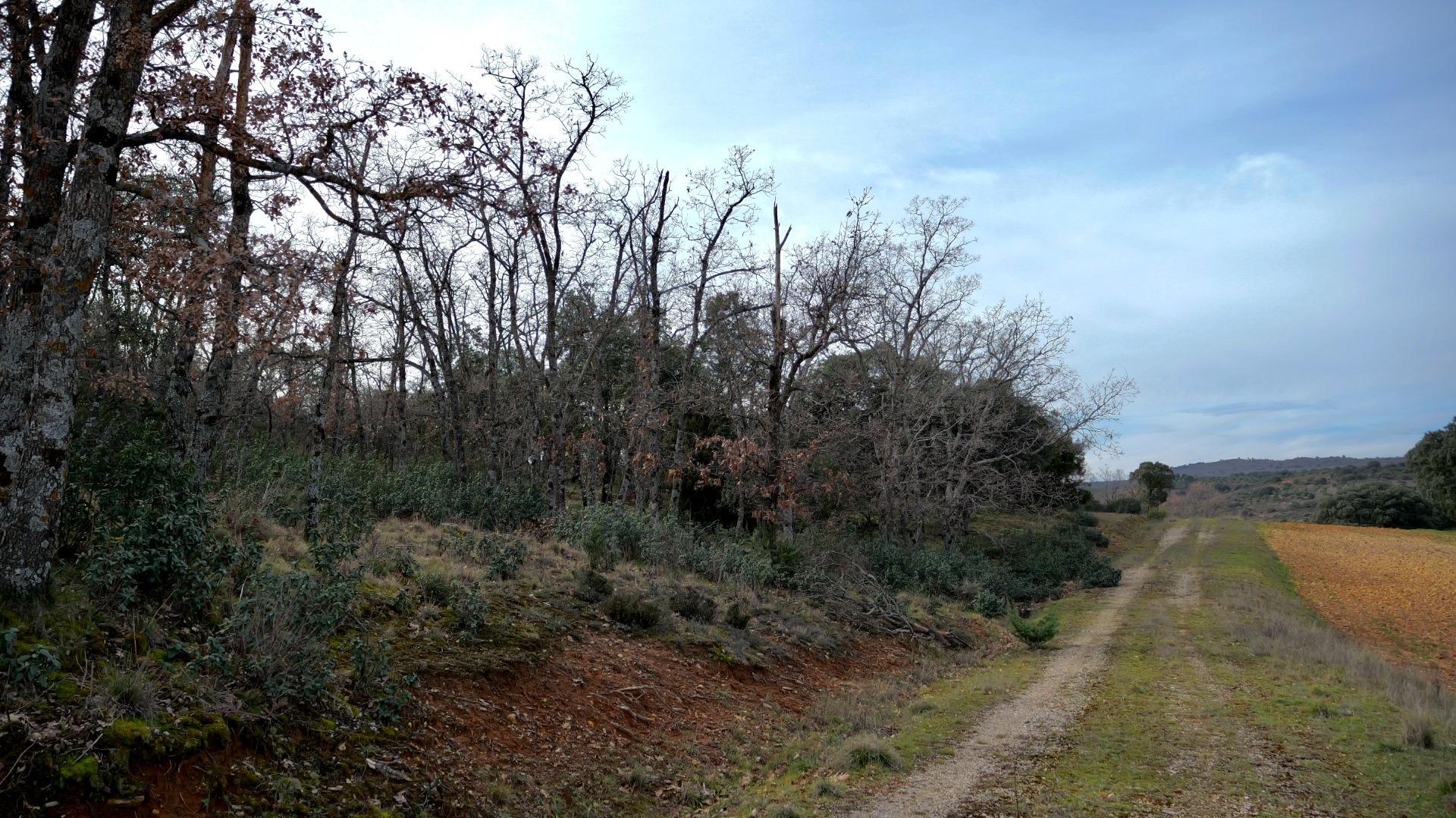 ¡DISFRUTA DE UN MONTE PARA TI!