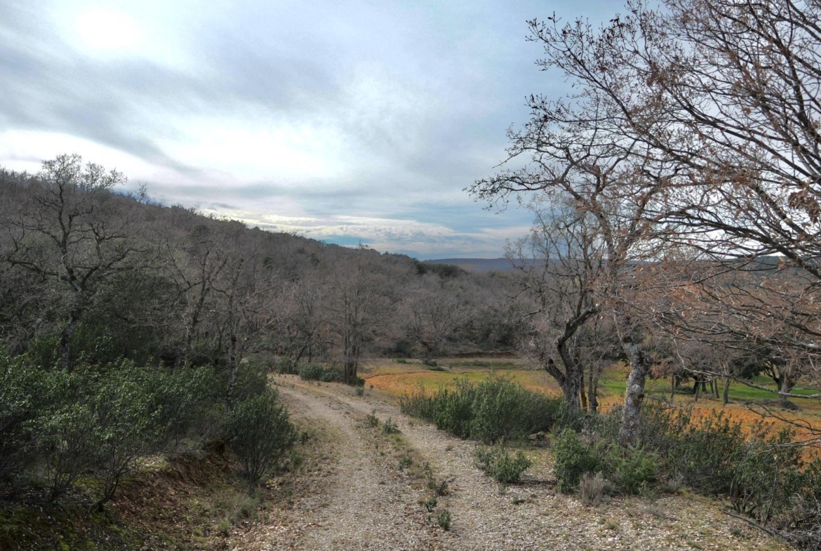 ¡DISFRUTA DE UN MONTE PARA TI!
