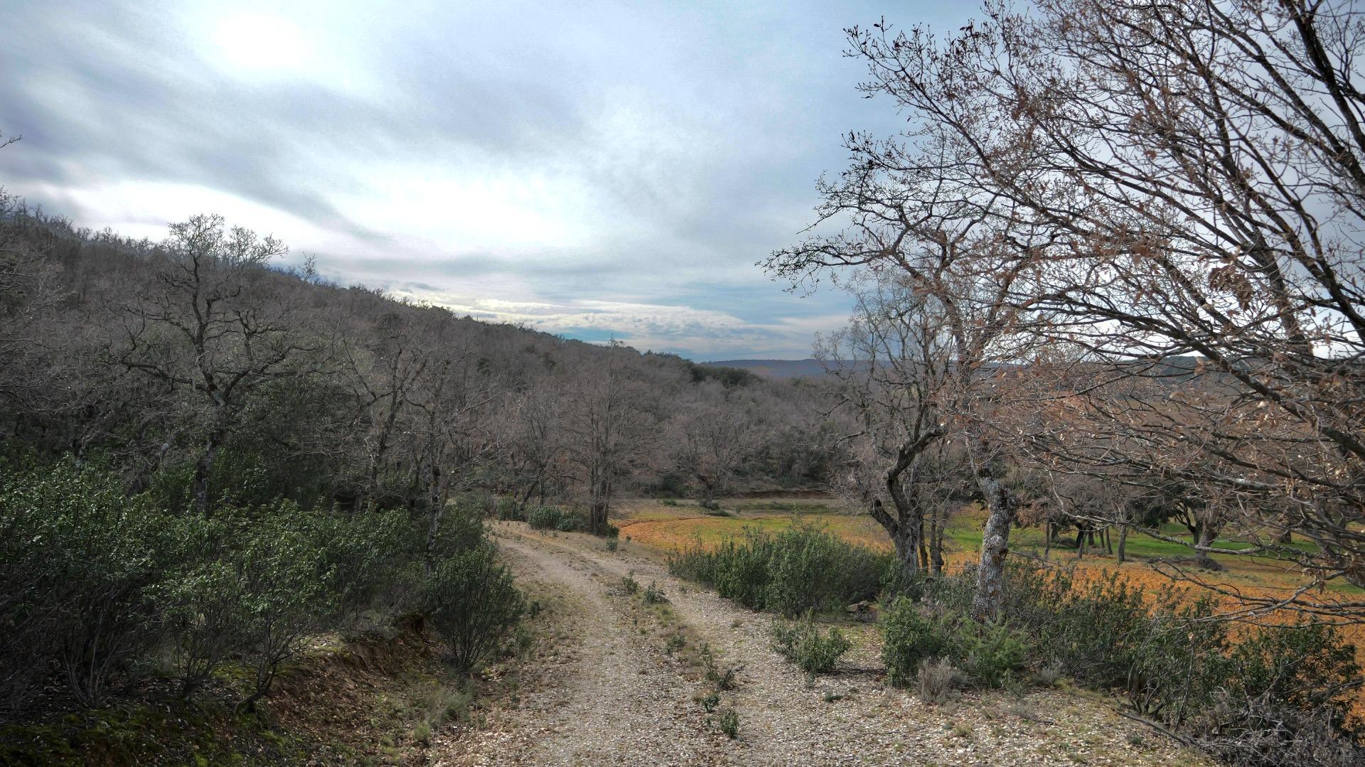 ¡DISFRUTA DE UN MONTE PARA TI!