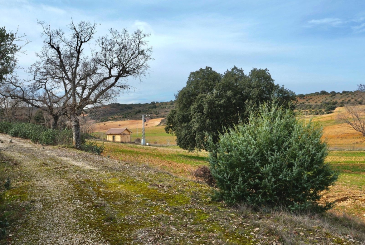 ¡DISFRUTA DE UN MONTE PARA TI!