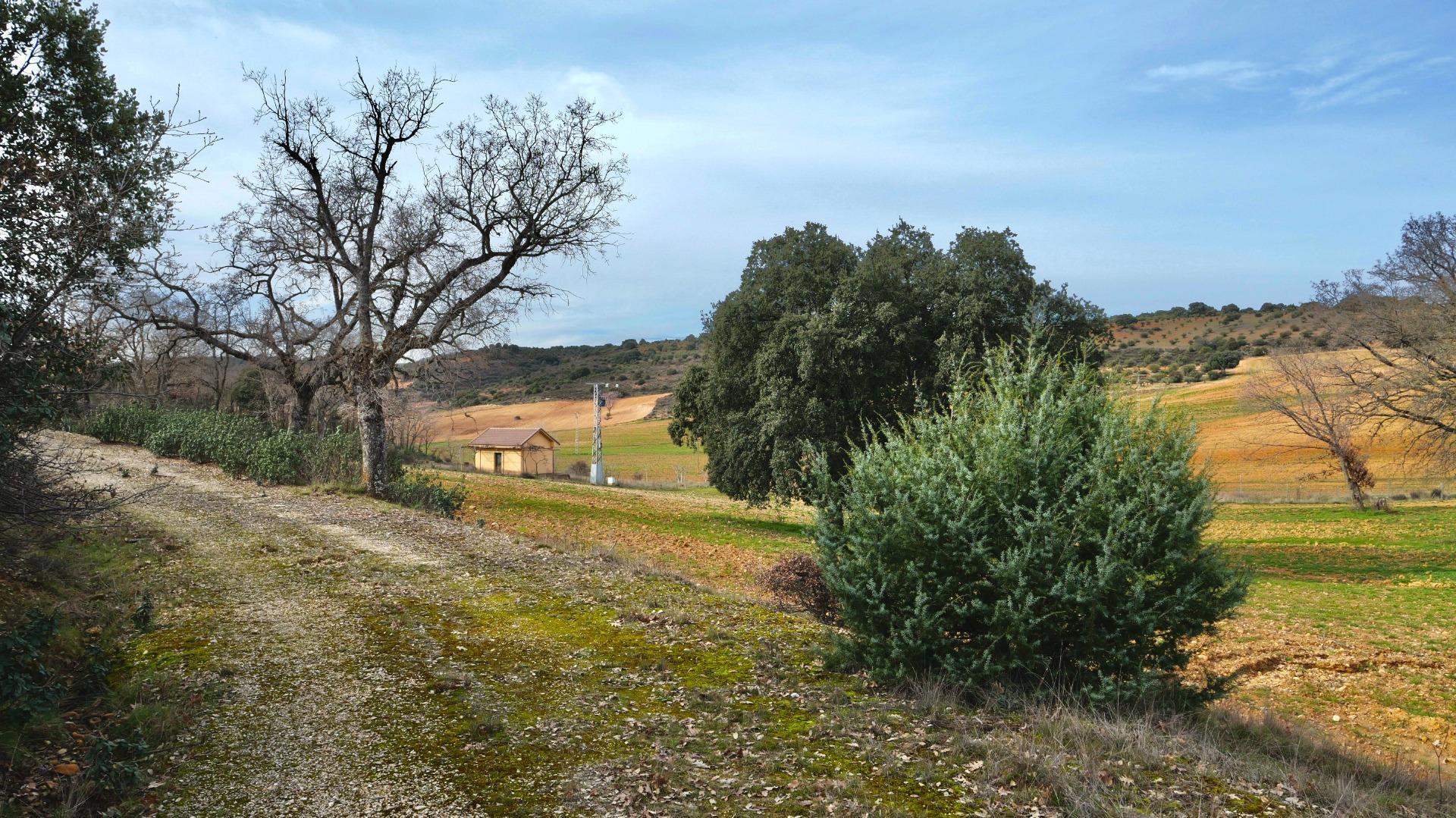 ¡DISFRUTA DE UN MONTE PARA TI!