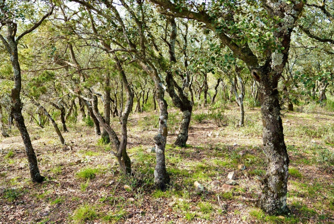 ¡DISFRUTA DE UN MONTE PARA TI!