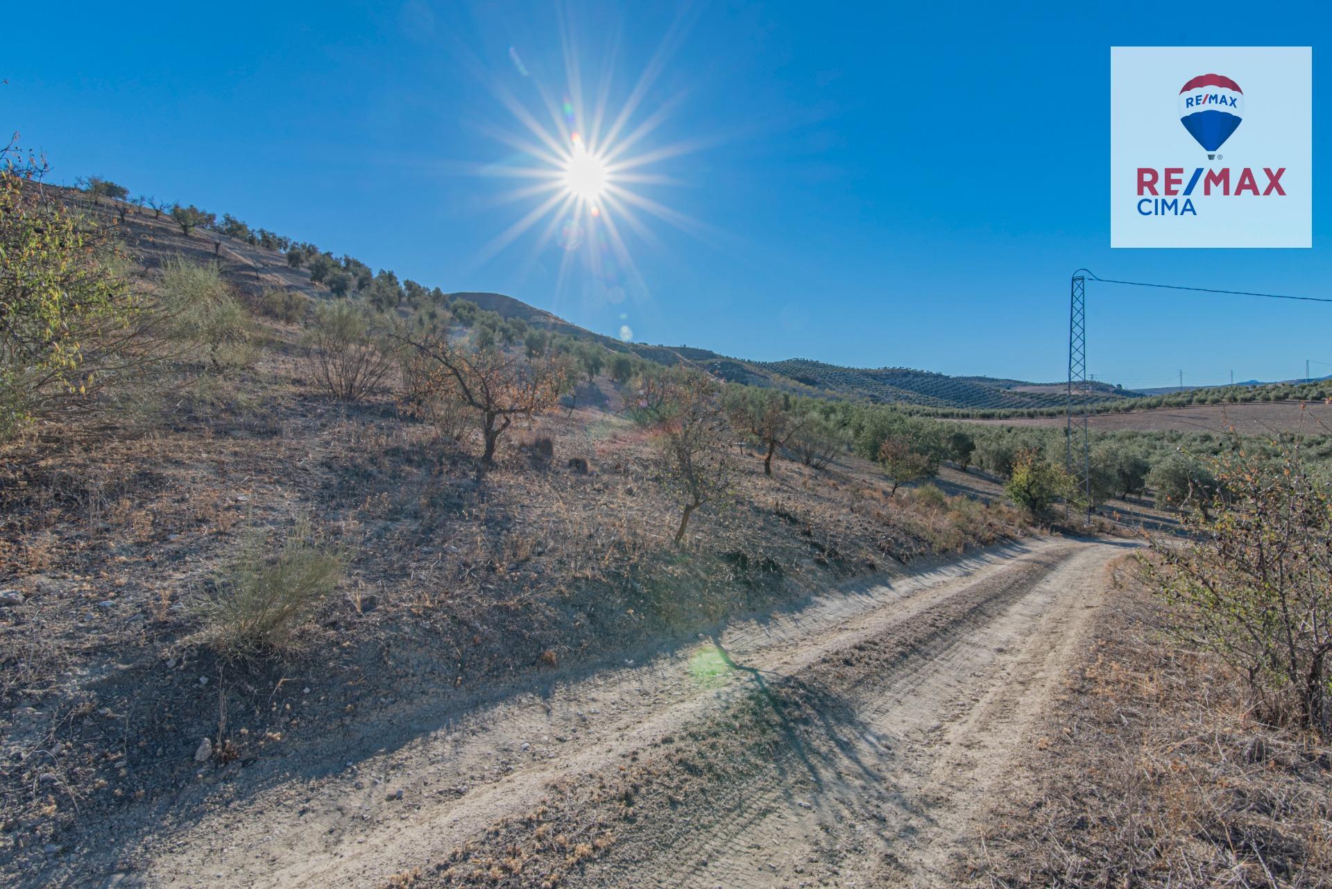 6-1 FINCA DE RECREO EN VENTA